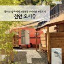 [ 충남 캠핑장 ] 천안 오시유 #클래식카라반 후기