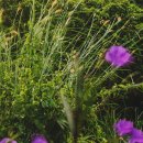 <형태의 속삭임> 이미지