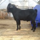 이천제이농장 이미지