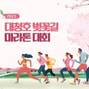 2023 대청호 벚꽃길 마라톤 대회 이미지