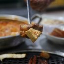 흑돼지여행 네이버블로그