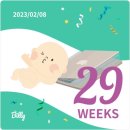 2023.2월 둘째주 일상 (임신29주)