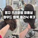 명지중학교 | [공지] 명지 프리미엄 미용실 마무드 염색 바이카르테 클리닉 후기
