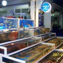 대천항수산 이미지