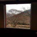 강진민박 이미지