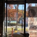 아스콧헤어 이미지