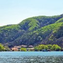 백야자연휴양림 이미지