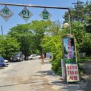 숲속에 안뜰 이미지