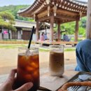 코끼리영재 어린이집 | 22년 초여름 일상 _2