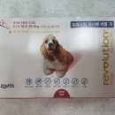 장천드림약국 이미지