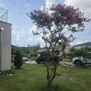 아마도풀빌라 이미지