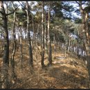 소양산 티스토리