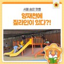 신나는 책 놀이터(2기) | 양재천에 짚라인이 있다고요? | 아이도 어른도 신나는 서울 나들이 코스🌿