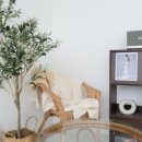 수원-1371 이미지