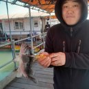 씨엔텔 민박 이미지