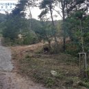 금산-52 이미지