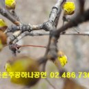 (주)동향