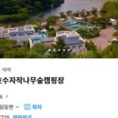 자작나무펜션 캠핑장 이미지