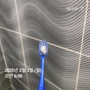 2월 중간 점검 포스팅 (낭만 챌린지)