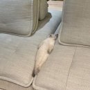 민지푸드 이미지