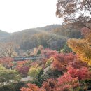 (주)화담