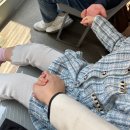 에버랜드 자유이용권 사파리 명당 산리오 주차 할인