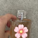 싸구려 향수 + 오늘 먹은것 + AI 겨울 사진(댓글 모두 너무 감사합니다) 이미지