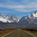 독라이프 이미지