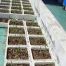 들꽃피는 이미지