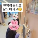 해핏