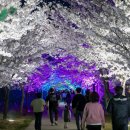 달방수변공원 이미지