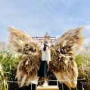 이마트24 선릉공원점 | 서울 하늘공원 억새축제 2025 기간 주차 맹꽁이열차 관람동선