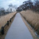 정읍중학교 이미지