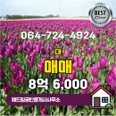 해드림공인중개사사무소 이미지