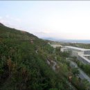 꿈의궁전 이미지