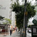 신길동 보라매역 시원빌딩 앞 | 신길동 술집, 보라매역 안주 맛집 아우집
