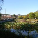 궁동생태공원 이미지