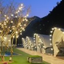 비토섬 신우리조트(주) 이미지