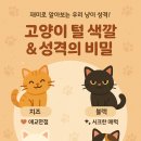 털보신집 티스토리