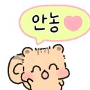 정자미용실