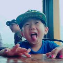 또또모터스 이미지