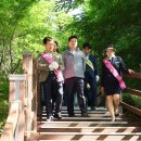 중일초등학교 이미지