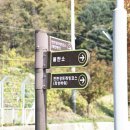 백의리층 이미지