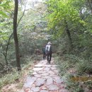 만수천약수터 이미지