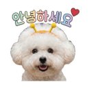 홍 네이버블로그