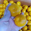 한길마트 이미지