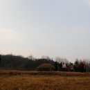 임원준 선생묘 이미지