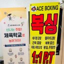 에이스복싱 이미지