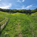 산양농장 이미지