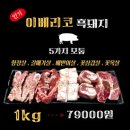 운정두근두근